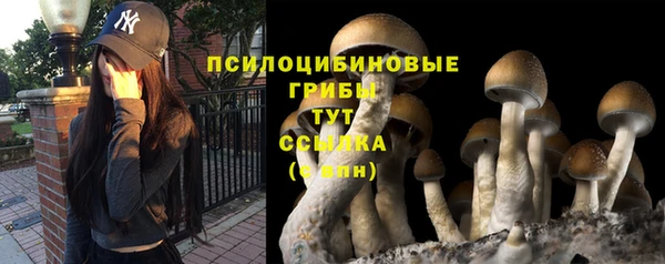 скорость Алексин